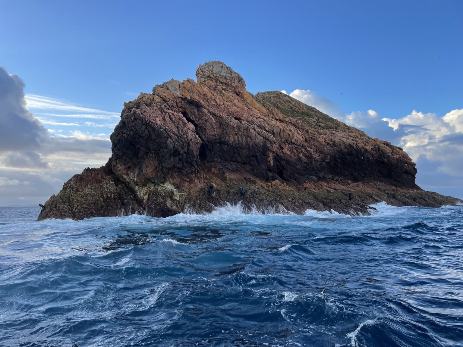 Ilha da Berlenga